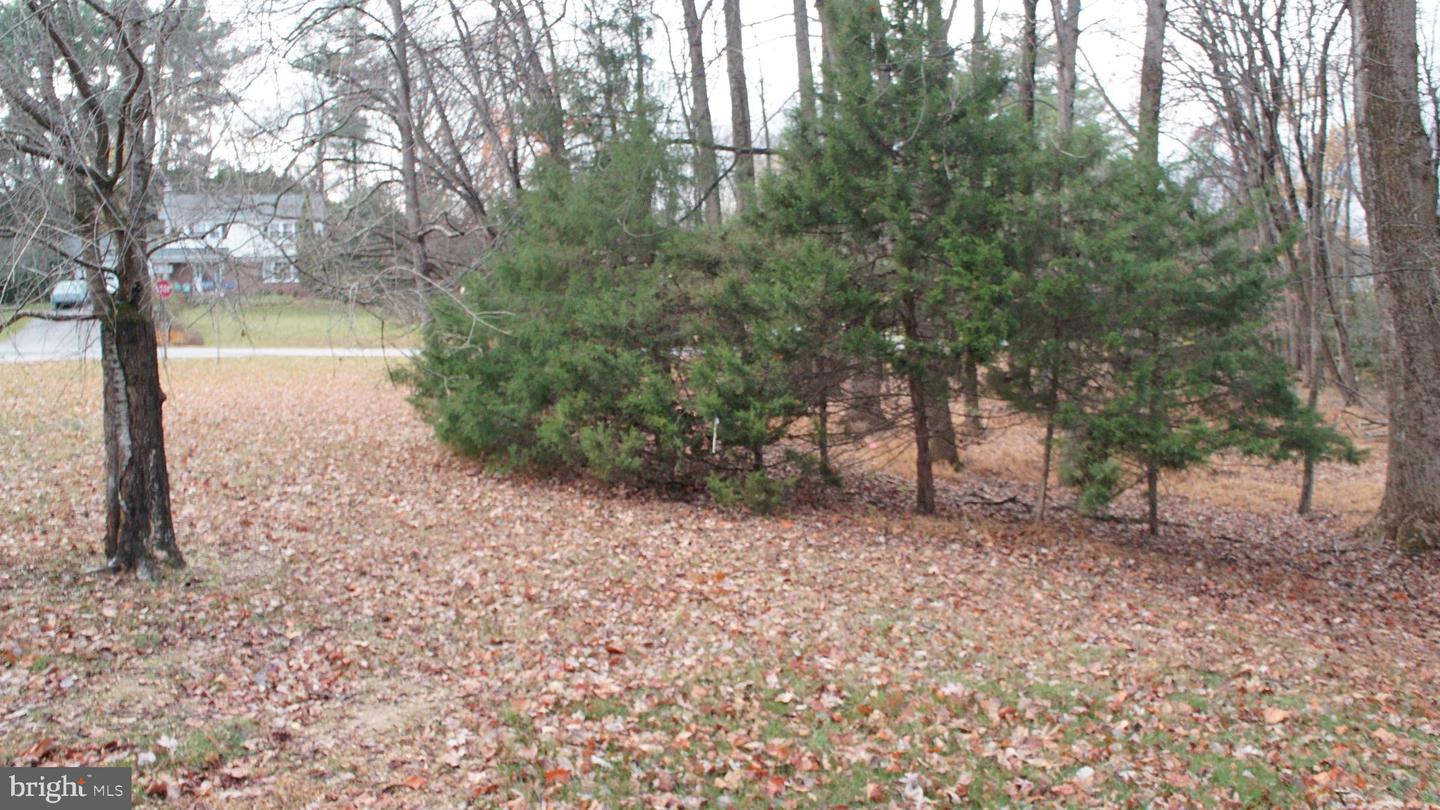 3144 SEARSMONT PL, HERNDON, Virginia 20171, ,Land,For sale,3144 SEARSMONT PL,VAFX2279724 MLS # VAFX2279724 3144 SEARSMONT PL, HERNDON, Virginia 20171, ,Land,For sale,3144 SEARSMONT PL,VAFX2279724 MLS # VAFX2279724
