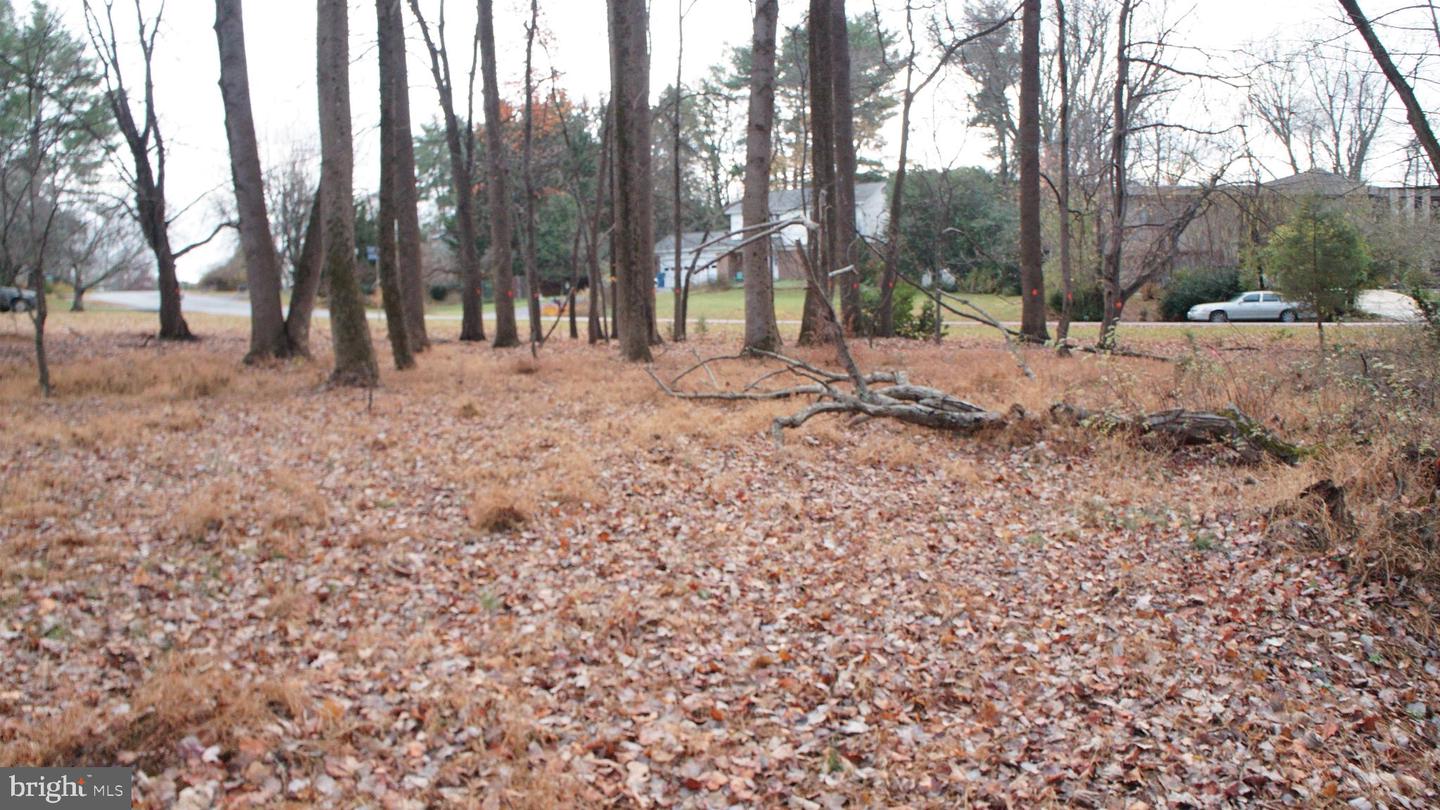 3144 SEARSMONT PL, HERNDON, Virginia 20171, ,Land,For sale,3144 SEARSMONT PL,VAFX2279724 MLS # VAFX2279724 3144 SEARSMONT PL, HERNDON, Virginia 20171, ,Land,For sale,3144 SEARSMONT PL,VAFX2279724 MLS # VAFX2279724