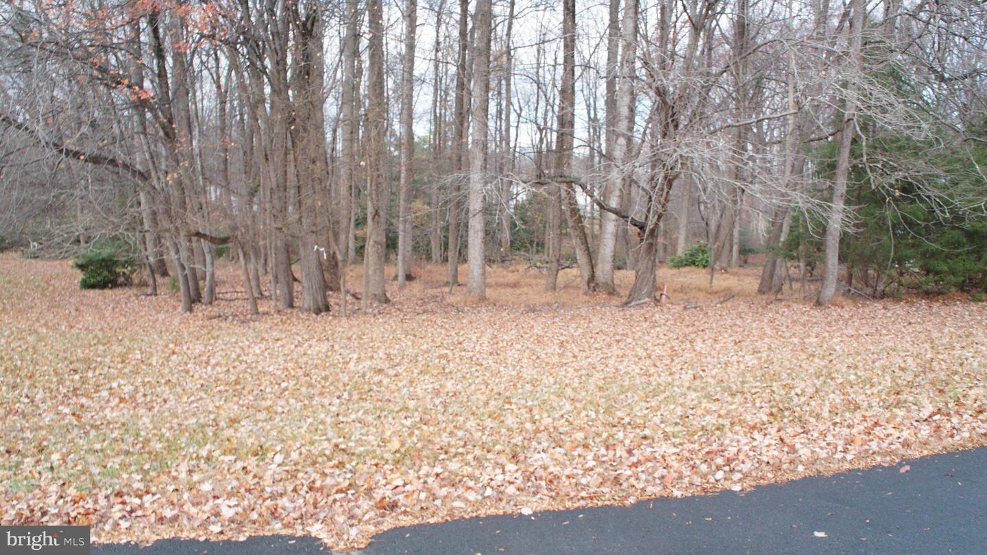 3144 SEARSMONT PL, HERNDON, Virginia 20171, ,Land,For sale,3144 SEARSMONT PL,VAFX2279724 MLS # VAFX2279724 3144 SEARSMONT PL, HERNDON, Virginia 20171, ,Land,For sale,3144 SEARSMONT PL,VAFX2279724 MLS # VAFX2279724