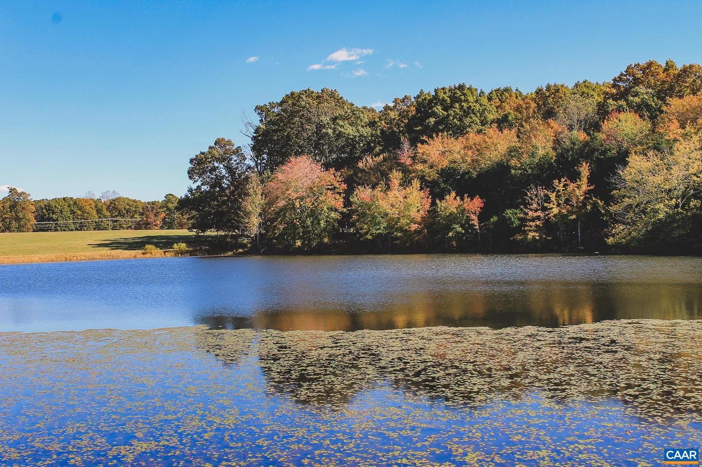 LOT 16 BRIERY CREEK RD, SCOTTSVILLE, Virginia 24590, ,Land,For sale,LOT 16 BRIERY CREEK RD,671257 MLS # 671257 LOT 16 BRIERY CREEK RD, SCOTTSVILLE, Virginia 24590, ,Land,For sale,LOT 16 BRIERY CREEK RD,671257 MLS # 671257