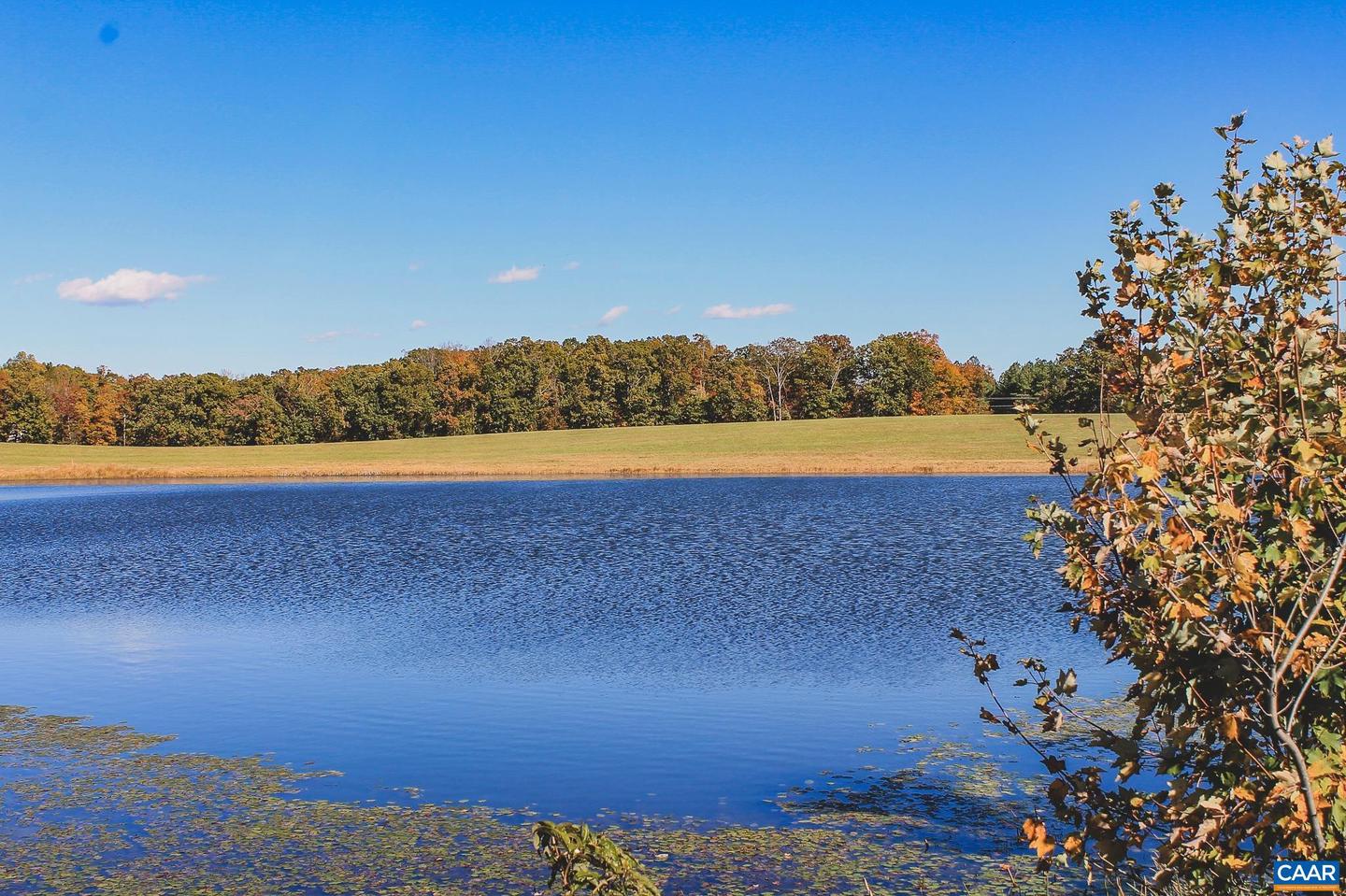 LOT 16 BRIERY CREEK RD, SCOTTSVILLE, Virginia 24590, ,Land,For sale,LOT 16 BRIERY CREEK RD,671257 MLS # 671257 LOT 16 BRIERY CREEK RD, SCOTTSVILLE, Virginia 24590, ,Land,For sale,LOT 16 BRIERY CREEK RD,671257 MLS # 671257