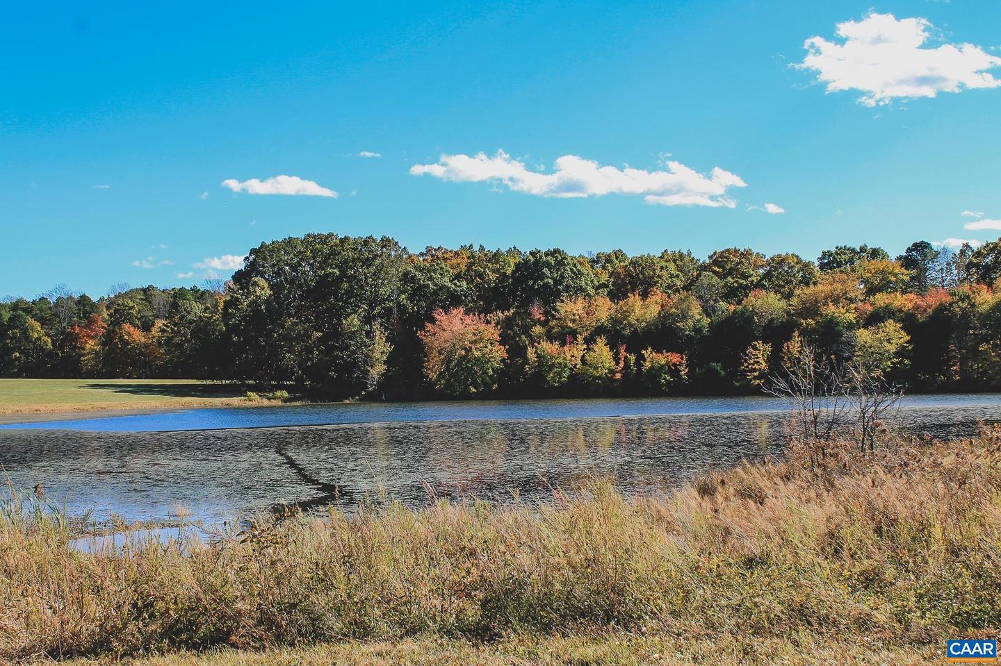 LOT 16 BRIERY CREEK RD, SCOTTSVILLE, Virginia 24590, ,Land,For sale,LOT 16 BRIERY CREEK RD,671257 MLS # 671257 LOT 16 BRIERY CREEK RD, SCOTTSVILLE, Virginia 24590, ,Land,For sale,LOT 16 BRIERY CREEK RD,671257 MLS # 671257