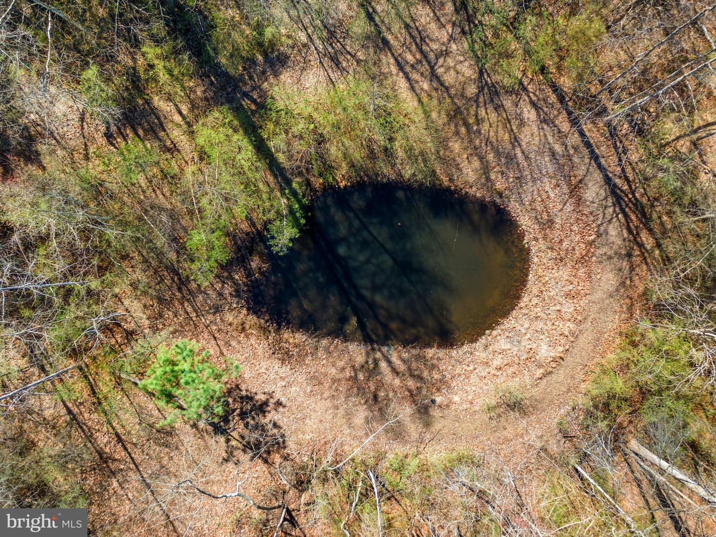 5585 SPERRYVILLE PIKE, BOSTON, Virginia 22713, 3 Bedrooms Bedrooms, ,3 BathroomsBathrooms,Residential,For sale,5585 SPERRYVILLE PIKE,VARP2002212 MLS # VARP2002212 5585 SPERRYVILLE PIKE, BOSTON, Virginia 22713, 3 Bedrooms Bedrooms, ,3 BathroomsBathrooms,Residential,For sale,5585 SPERRYVILLE PIKE,VARP2002212 MLS # VARP2002212