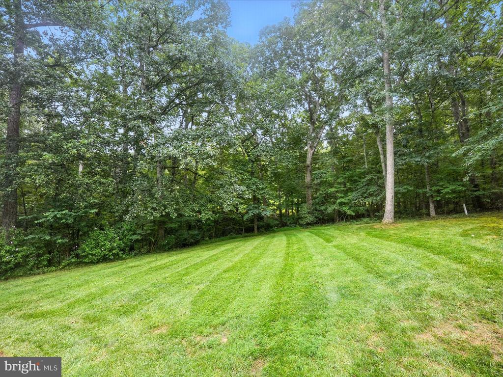 10740 BRIDLEREIN CT, SPOTSYLVANIA, Virginia 22553, 4 Bedrooms Bedrooms, ,3 BathroomsBathrooms,Residential,10740 BRIDLEREIN CT,VASP2037704 MLS # VASP2037704