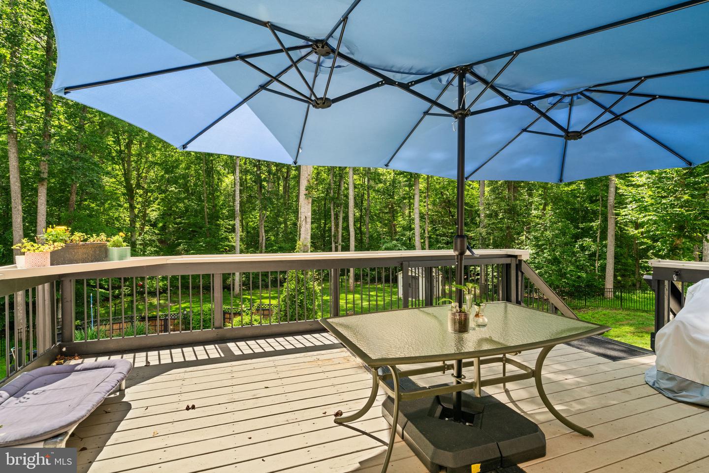 123 ARDEN LN, STAFFORD, Virginia 22556, 5 Bedrooms Bedrooms, ,4 BathroomsBathrooms,Residential,For sale,123 ARDEN LN,VAST2042082 MLS # VAST2042082 123 ARDEN LN, STAFFORD, Virginia 22556, 5 Bedrooms Bedrooms, ,4 BathroomsBathrooms,Residential,For sale,123 ARDEN LN,VAST2042082 MLS # VAST2042082