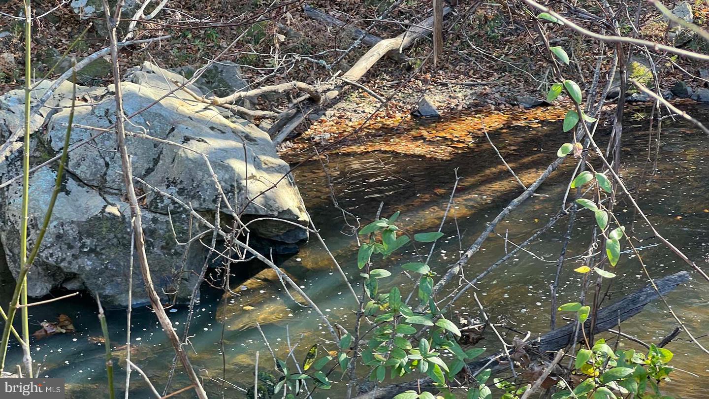 273 AIRSPORTS DR, AMHERST, Virginia 24521, ,1 BathroomBathrooms,Farm,For sale,273 AIRSPORTS DR,VAAH2000086 MLS # VAAH2000086 273 AIRSPORTS DR, AMHERST, Virginia 24521, ,1 BathroomBathrooms,Farm,For sale,273 AIRSPORTS DR,VAAH2000086 MLS # VAAH2000086