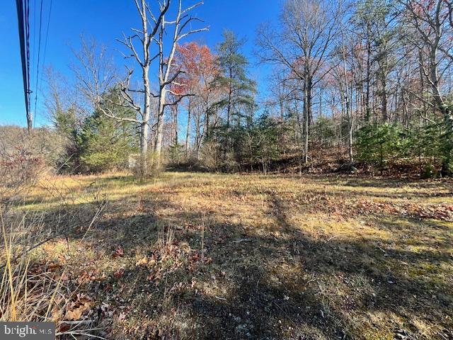 852 CEDAR GROVE, WINCHESTER, Virginia 22603, ,Land,For sale,852 CEDAR GROVE,VAFV2038114 MLS # VAFV2038114