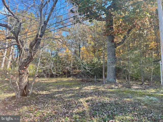 852 CEDAR GROVE, WINCHESTER, Virginia 22603, ,Land,For sale,852 CEDAR GROVE,VAFV2038114 MLS # VAFV2038114