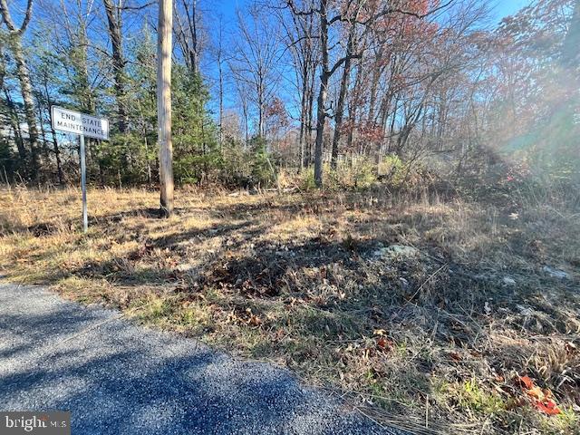 852 CEDAR GROVE, WINCHESTER, Virginia 22603, ,Land,For sale,852 CEDAR GROVE,VAFV2038114 MLS # VAFV2038114