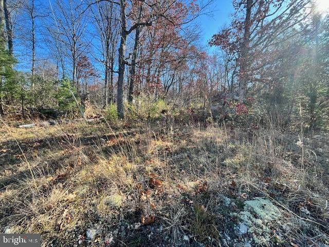852 CEDAR GROVE, WINCHESTER, Virginia 22603, ,Land,For sale,852 CEDAR GROVE,VAFV2038114 MLS # VAFV2038114