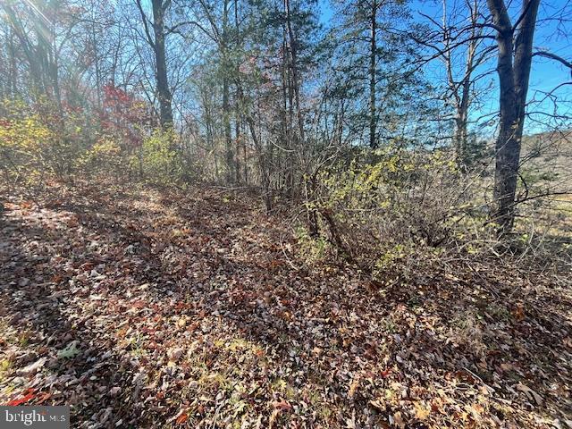 852 CEDAR GROVE, WINCHESTER, Virginia 22603, ,Land,For sale,852 CEDAR GROVE,VAFV2038114 MLS # VAFV2038114