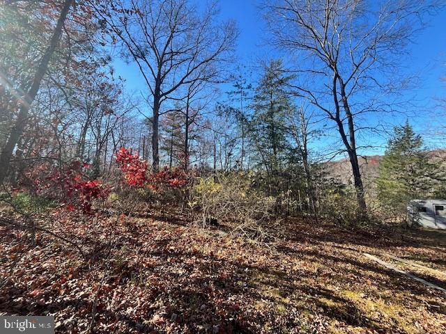852 CEDAR GROVE, WINCHESTER, Virginia 22603, ,Land,For sale,852 CEDAR GROVE,VAFV2038114 MLS # VAFV2038114
