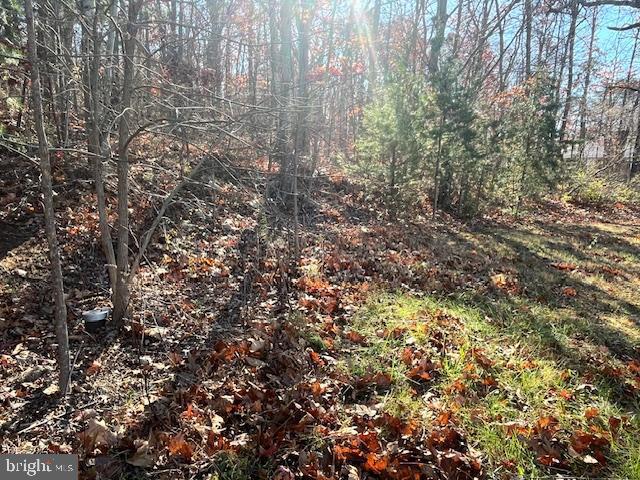 852 CEDAR GROVE, WINCHESTER, Virginia 22603, ,Land,For sale,852 CEDAR GROVE,VAFV2038114 MLS # VAFV2038114