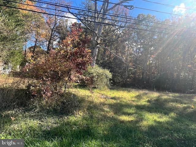 852 CEDAR GROVE, WINCHESTER, Virginia 22603, ,Land,For sale,852 CEDAR GROVE,VAFV2038114 MLS # VAFV2038114
