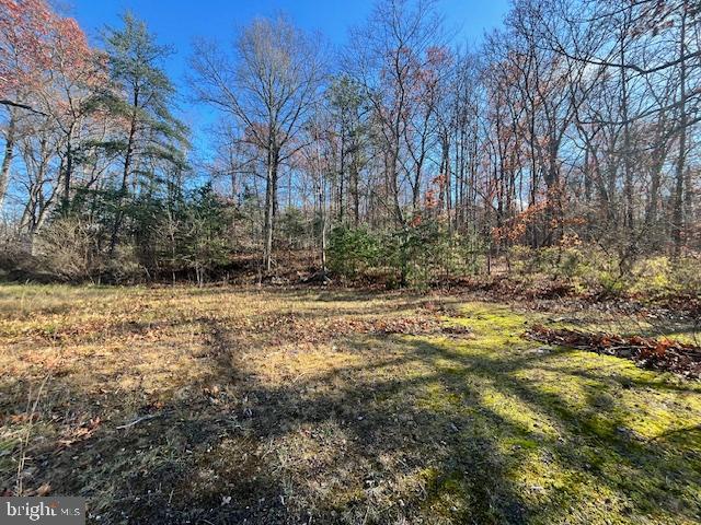 852 CEDAR GROVE, WINCHESTER, Virginia 22603, ,Land,For sale,852 CEDAR GROVE,VAFV2038114 MLS # VAFV2038114