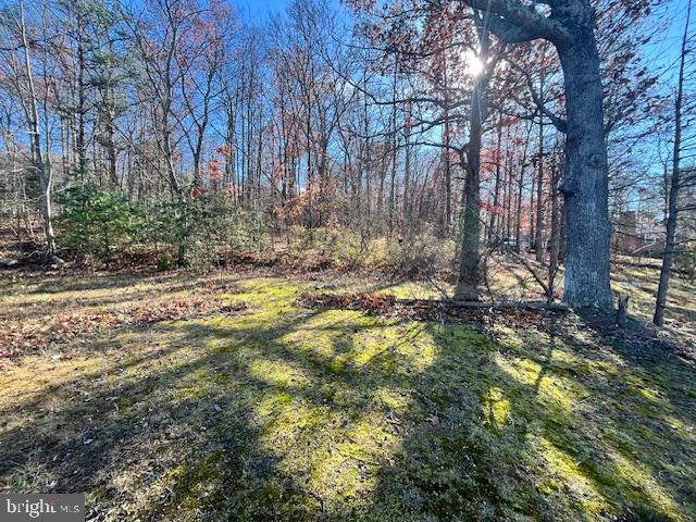 852 CEDAR GROVE, WINCHESTER, Virginia 22603, ,Land,For sale,852 CEDAR GROVE,VAFV2038114 MLS # VAFV2038114