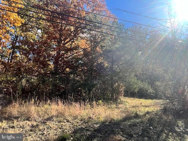 852 CEDAR GROVE, WINCHESTER, Virginia 22603, ,Land,For sale,852 CEDAR GROVE,VAFV2038114 MLS # VAFV2038114