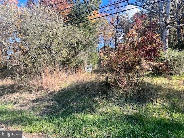 852 CEDAR GROVE, WINCHESTER, Virginia 22603, ,Land,For sale,852 CEDAR GROVE,VAFV2038114 MLS # VAFV2038114