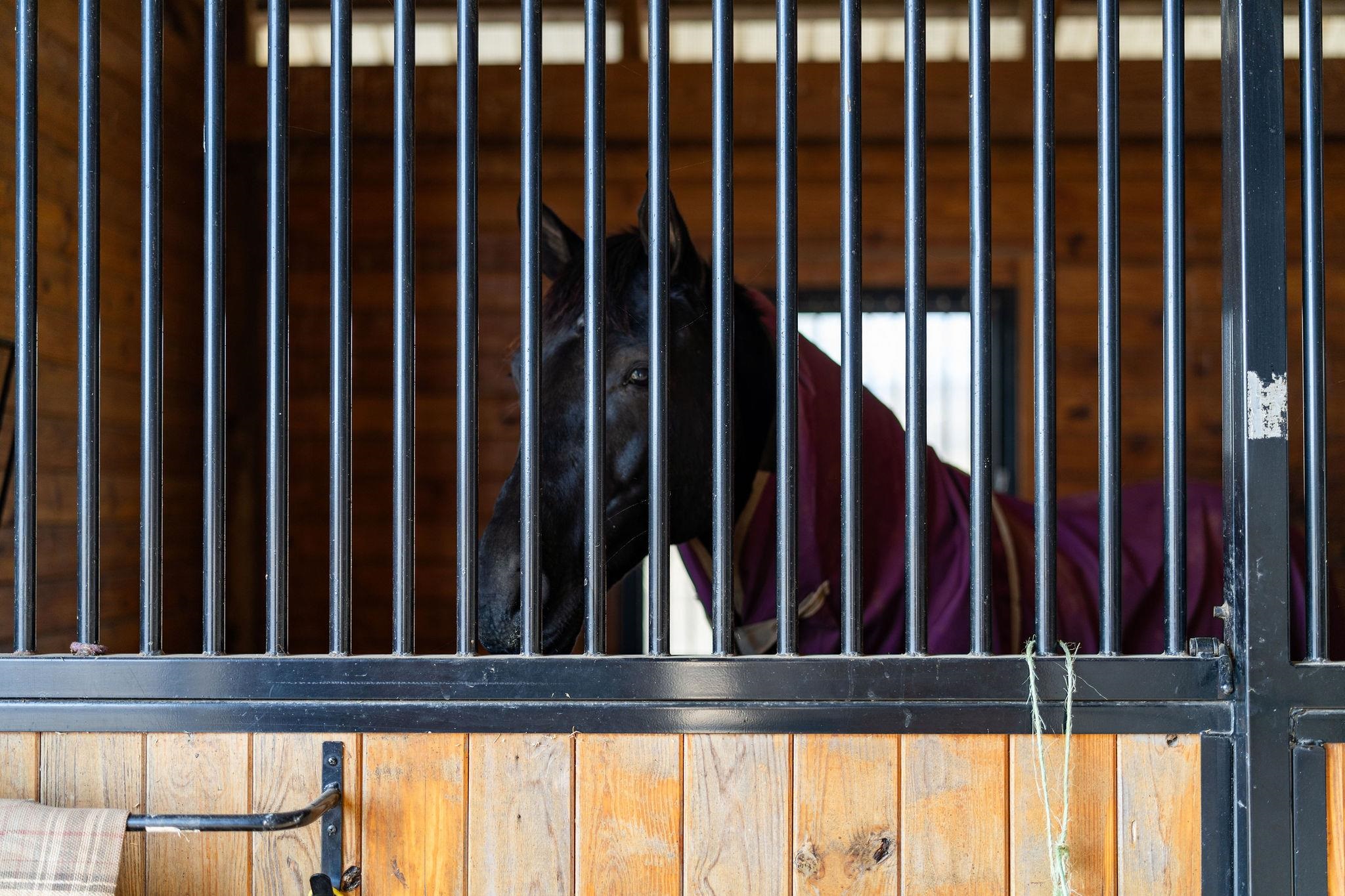 129 SHEMARIAH RD, MIDDLEBROOK, Virginia 24459, 4 Bedrooms Bedrooms, ,4 BathroomsBathrooms,Residential,Blue Willow Farms,129 SHEMARIAH RD,671270 MLS # 671270