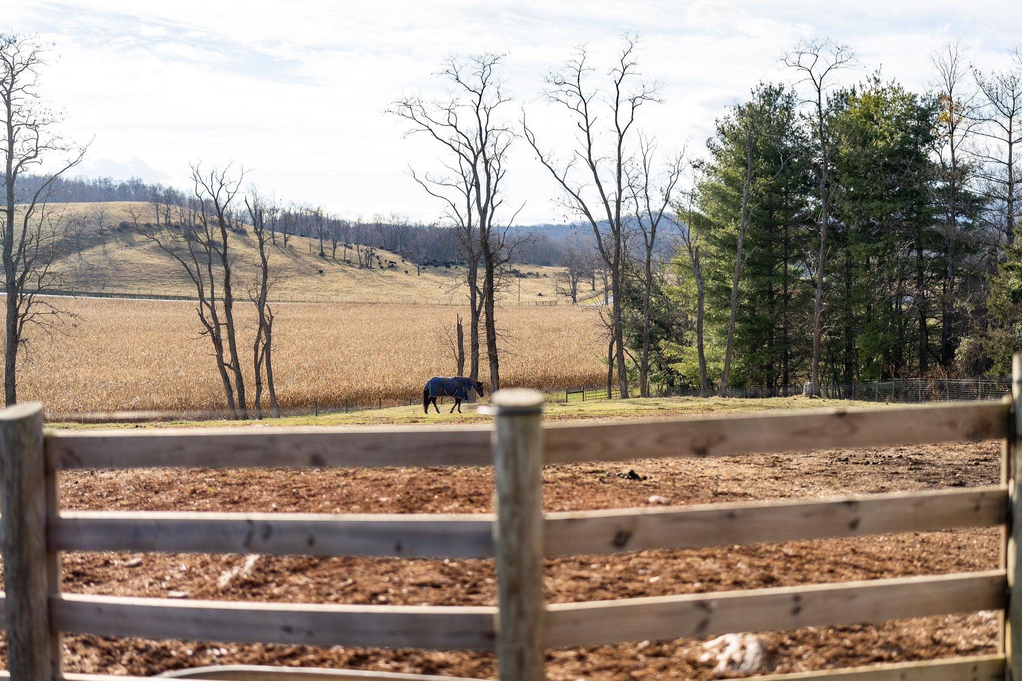 129 SHEMARIAH RD, MIDDLEBROOK, Virginia 24459, 4 Bedrooms Bedrooms, ,4 BathroomsBathrooms,Residential,Blue Willow Farms,129 SHEMARIAH RD,671270 MLS # 671270