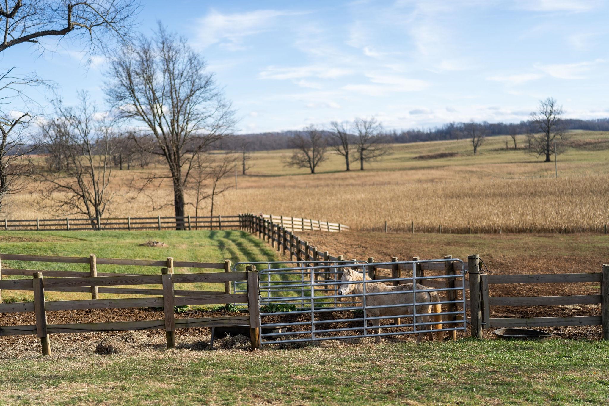 129 SHEMARIAH RD, MIDDLEBROOK, Virginia 24459, 4 Bedrooms Bedrooms, ,4 BathroomsBathrooms,Residential,Blue Willow Farms,129 SHEMARIAH RD,671270 MLS # 671270