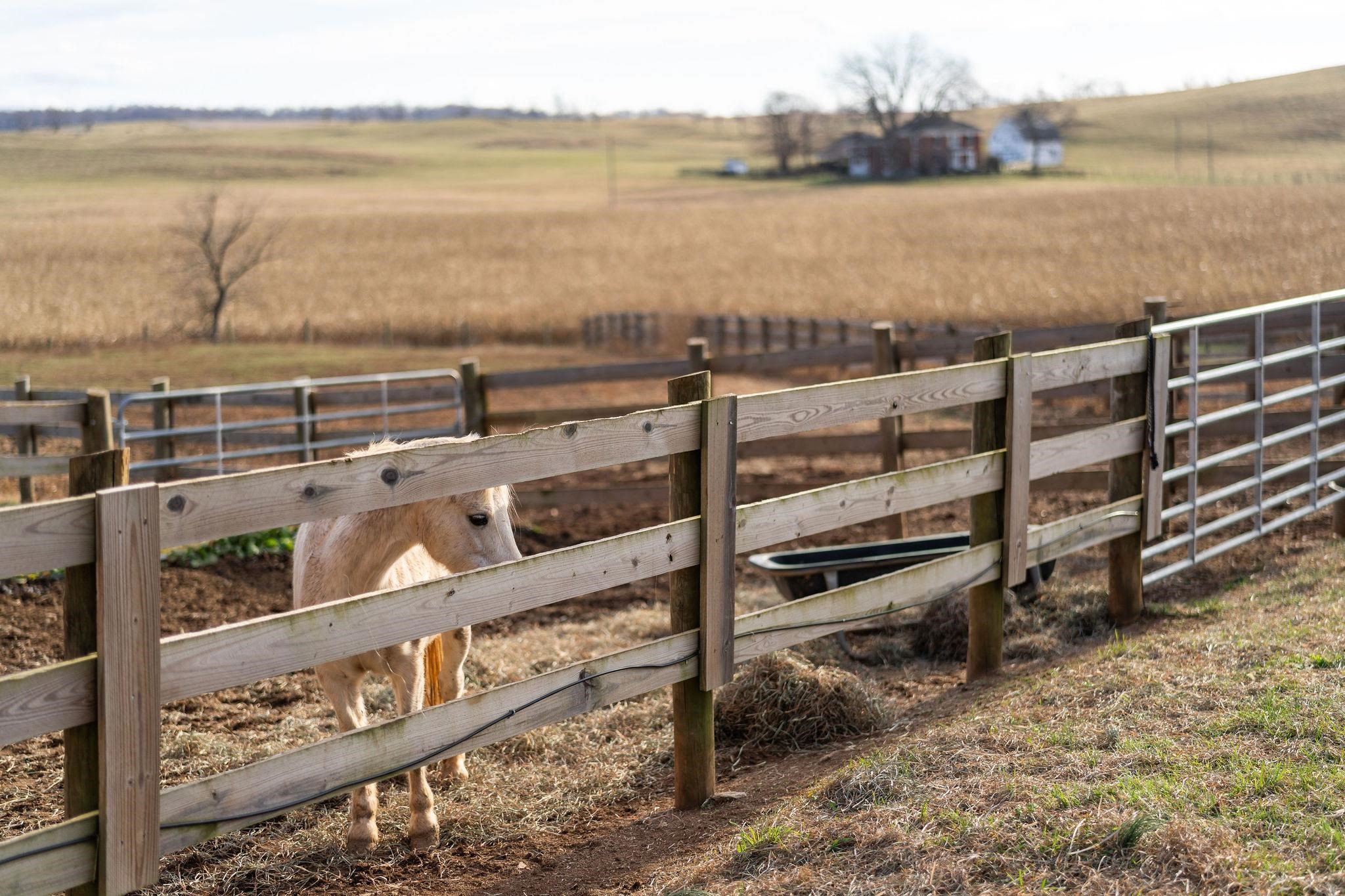 129 SHEMARIAH RD, MIDDLEBROOK, Virginia 24459, 4 Bedrooms Bedrooms, ,4 BathroomsBathrooms,Residential,Blue Willow Farms,129 SHEMARIAH RD,671270 MLS # 671270