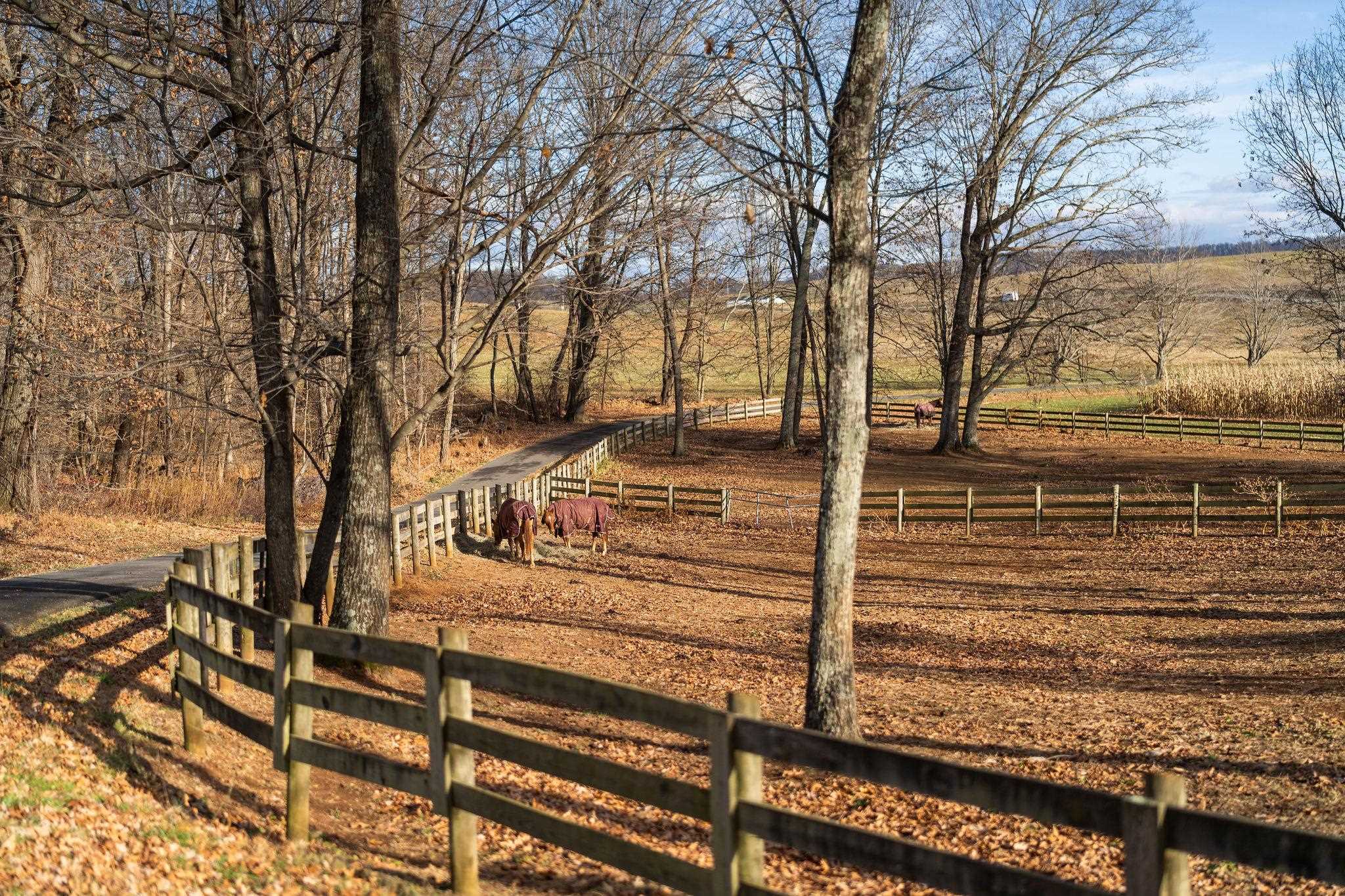 129 SHEMARIAH RD, MIDDLEBROOK, Virginia 24459, 4 Bedrooms Bedrooms, ,4 BathroomsBathrooms,Residential,Blue Willow Farms,129 SHEMARIAH RD,671270 MLS # 671270