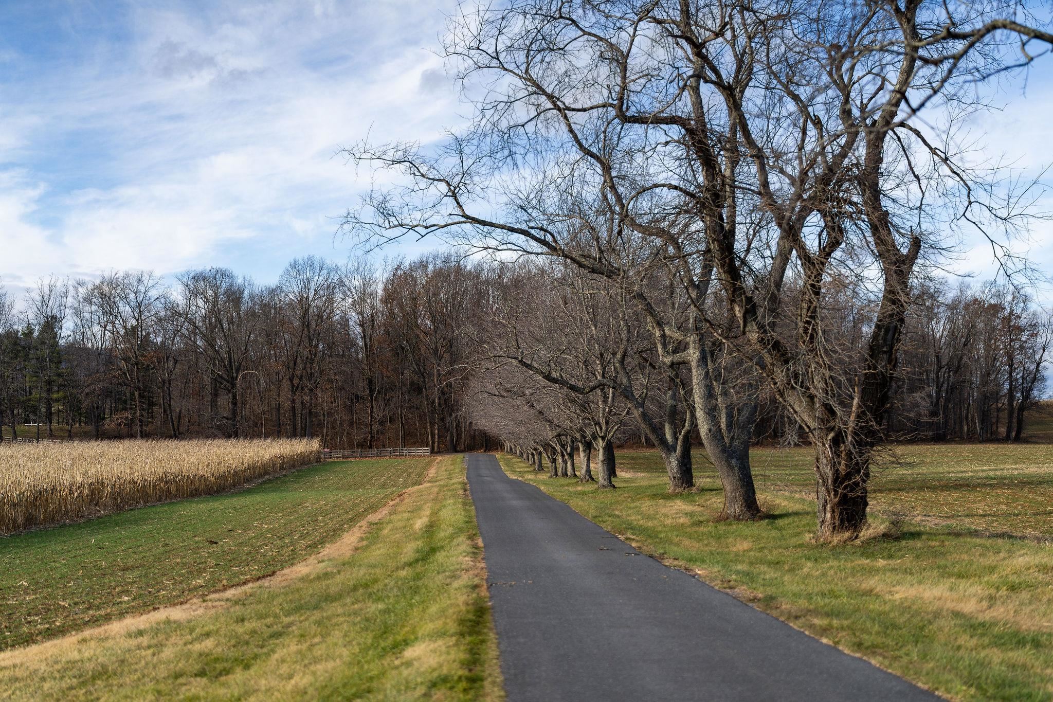 129 SHEMARIAH RD, MIDDLEBROOK, Virginia 24459, 4 Bedrooms Bedrooms, ,4 BathroomsBathrooms,Residential,Blue Willow Farms,129 SHEMARIAH RD,671270 MLS # 671270