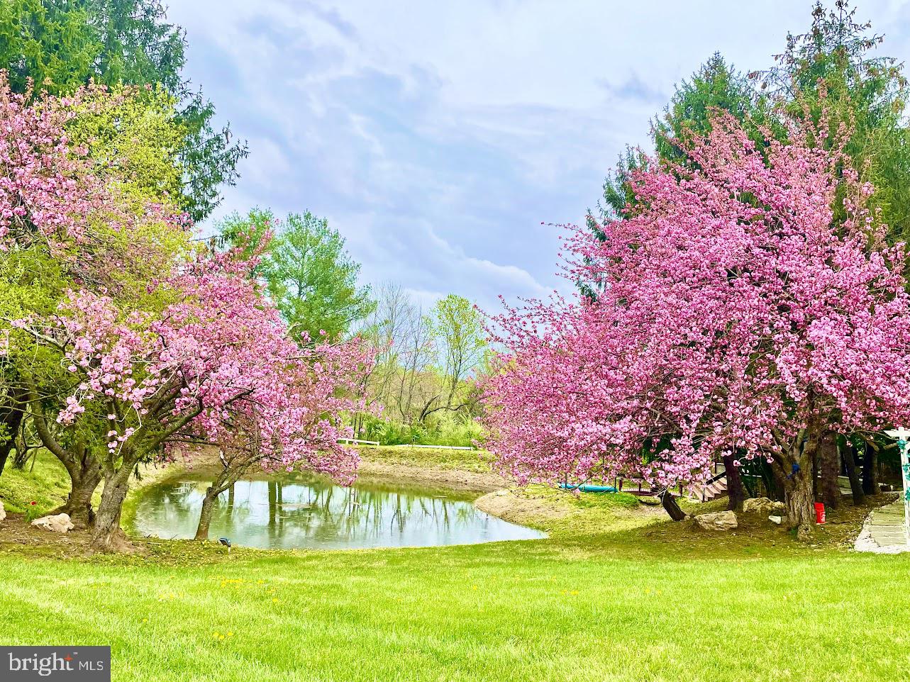 6830 CLIFTON RD, CLIFTON, Virginia 20124, 5 Bedrooms Bedrooms, ,5 BathroomsBathrooms,Residential,For sale,6830 CLIFTON RD,VAFX2276986 MLS # VAFX2276986 6830 CLIFTON RD, CLIFTON, Virginia 20124, 5 Bedrooms Bedrooms, ,5 BathroomsBathrooms,Residential,For sale,6830 CLIFTON RD,VAFX2276986 MLS # VAFX2276986