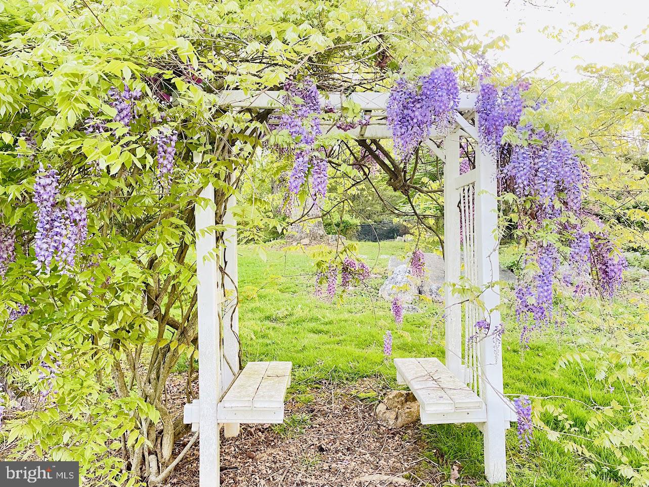 6830 CLIFTON RD, CLIFTON, Virginia 20124, 5 Bedrooms Bedrooms, ,5 BathroomsBathrooms,Residential,For sale,6830 CLIFTON RD,VAFX2276986 MLS # VAFX2276986 6830 CLIFTON RD, CLIFTON, Virginia 20124, 5 Bedrooms Bedrooms, ,5 BathroomsBathrooms,Residential,For sale,6830 CLIFTON RD,VAFX2276986 MLS # VAFX2276986