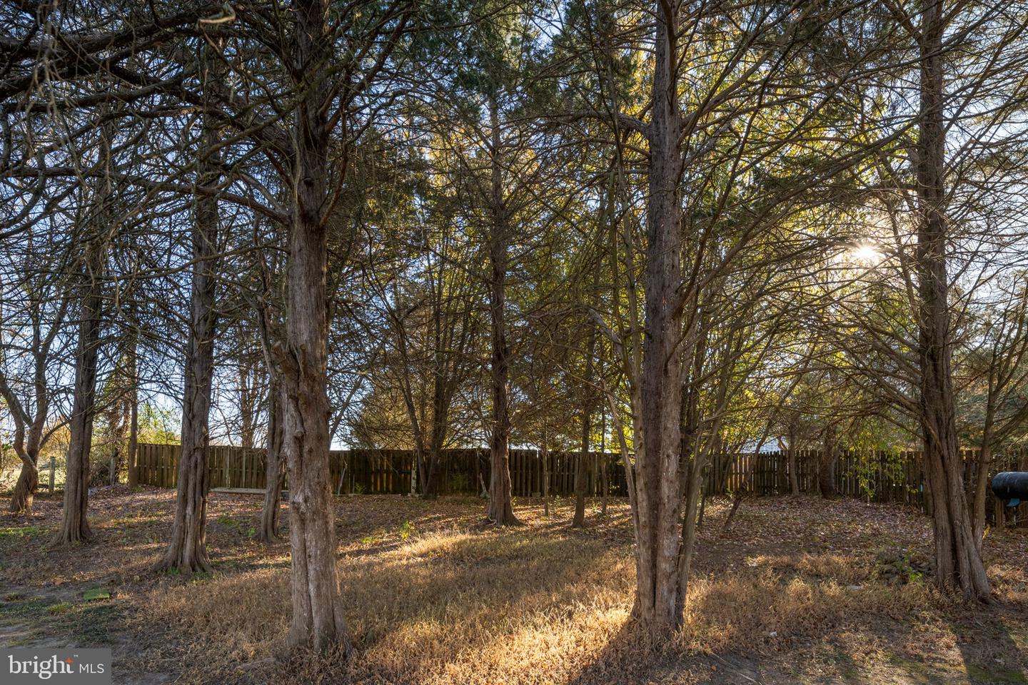 7508 DAUGHTRY DR, FREDERICKSBURG, Virginia 22407, 4 Bedrooms Bedrooms, 12 Rooms Rooms,3 BathroomsBathrooms,Residential,For sale,7508 DAUGHTRY DR,VASP2037580 MLS # VASP2037580 7508 DAUGHTRY DR, FREDERICKSBURG, Virginia 22407, 4 Bedrooms Bedrooms, 12 Rooms Rooms,3 BathroomsBathrooms,Residential,For sale,7508 DAUGHTRY DR,VASP2037580 MLS # VASP2037580