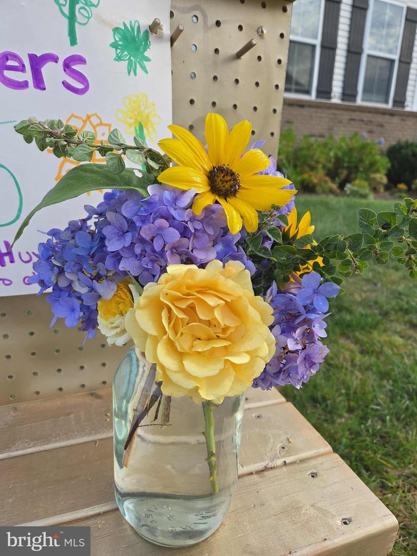 508 CRAB APPLE DR, STAFFORD, Virginia 22554, 5 Bedrooms Bedrooms, ,4 BathroomsBathrooms,Residential,For sale,508 CRAB APPLE DR,VAST2044248 MLS # VAST2044248