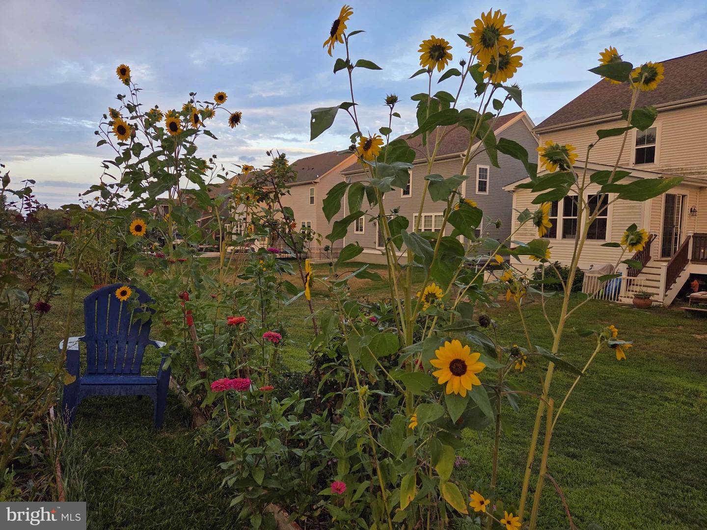 508 CRAB APPLE DR, STAFFORD, Virginia 22554, 5 Bedrooms Bedrooms, ,4 BathroomsBathrooms,Residential,For sale,508 CRAB APPLE DR,VAST2044248 MLS # VAST2044248