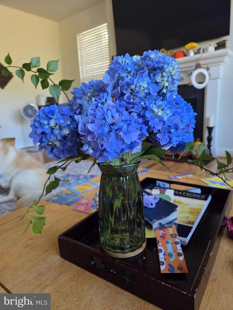 508 CRAB APPLE DR, STAFFORD, Virginia 22554, 5 Bedrooms Bedrooms, ,4 BathroomsBathrooms,Residential,For sale,508 CRAB APPLE DR,VAST2044248 MLS # VAST2044248