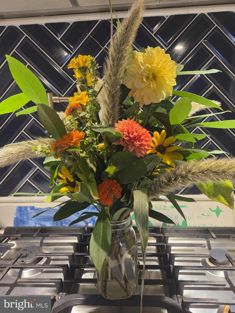 508 CRAB APPLE DR, STAFFORD, Virginia 22554, 5 Bedrooms Bedrooms, ,4 BathroomsBathrooms,Residential,For sale,508 CRAB APPLE DR,VAST2044248 MLS # VAST2044248