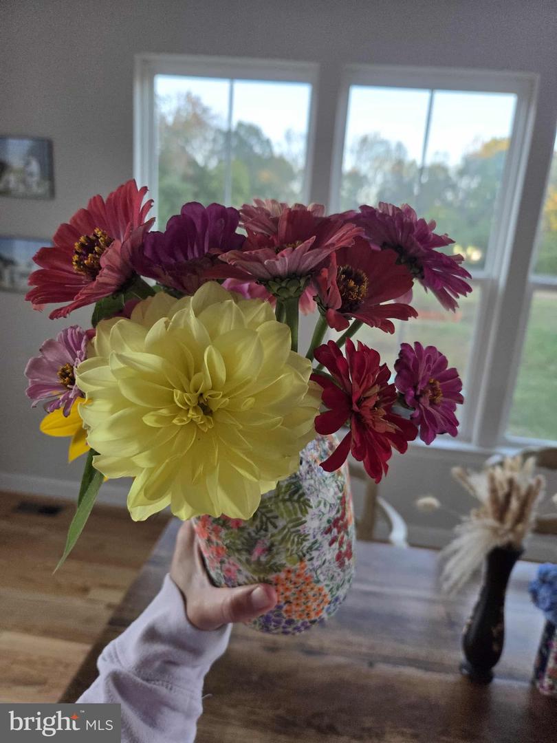 508 CRAB APPLE DR, STAFFORD, Virginia 22554, 5 Bedrooms Bedrooms, ,4 BathroomsBathrooms,Residential,For sale,508 CRAB APPLE DR,VAST2044248 MLS # VAST2044248