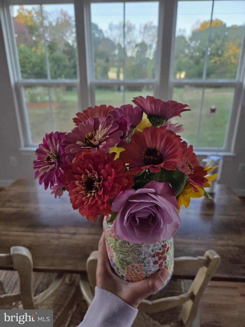 508 CRAB APPLE DR, STAFFORD, Virginia 22554, 5 Bedrooms Bedrooms, ,4 BathroomsBathrooms,Residential,For sale,508 CRAB APPLE DR,VAST2044248 MLS # VAST2044248