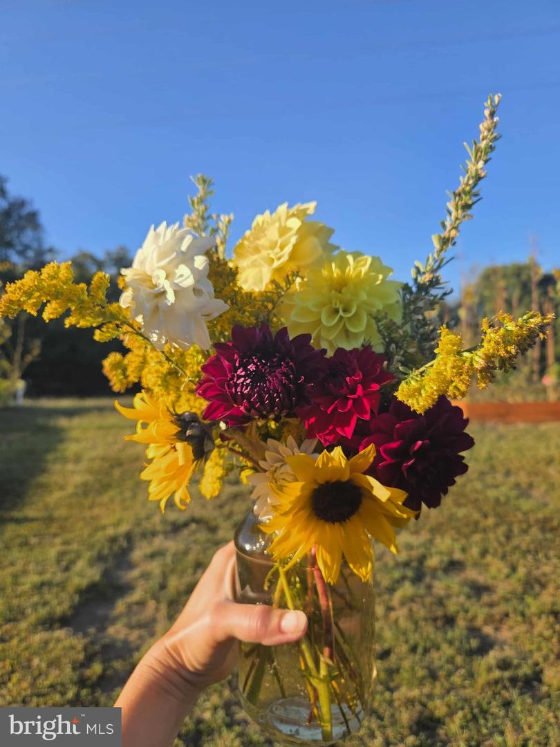 508 CRAB APPLE DR, STAFFORD, Virginia 22554, 5 Bedrooms Bedrooms, ,4 BathroomsBathrooms,Residential,For sale,508 CRAB APPLE DR,VAST2044248 MLS # VAST2044248