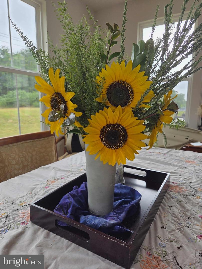 508 CRAB APPLE DR, STAFFORD, Virginia 22554, 5 Bedrooms Bedrooms, ,4 BathroomsBathrooms,Residential,For sale,508 CRAB APPLE DR,VAST2044248 MLS # VAST2044248