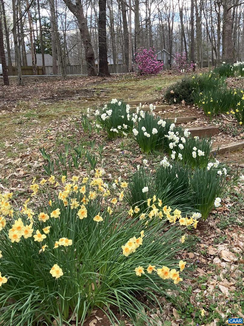 48 JENNINGS DR, PALMYRA, Virginia 22963, 3 Bedrooms Bedrooms, ,2 BathroomsBathrooms,Residential,For sale,48 JENNINGS DR,671159 MLS # 671159