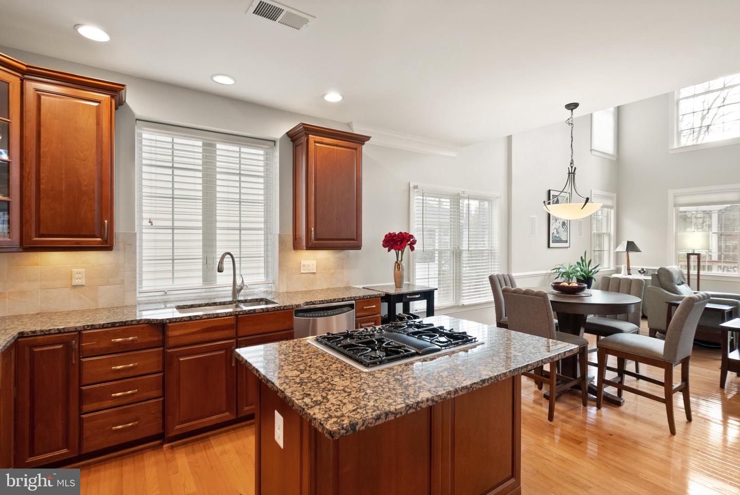 20116 WHISTLING STRAITS PL, ASHBURN, Virginia 20147, 5 Bedrooms Bedrooms, 18 Rooms Rooms,4 BathroomsBathrooms,Residential,For sale,20116 WHISTLING STRAITS PL,VALO2111236 MLS # VALO2111236