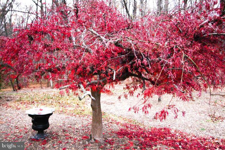 3142 SEARSMONT PL, HERNDON, Virginia 20171, 3 Bedrooms Bedrooms, ,2 BathroomsBathrooms,Residential,For sale,3142 SEARSMONT PL,VAFX2279480 MLS # VAFX2279480 3142 SEARSMONT PL, HERNDON, Virginia 20171, 3 Bedrooms Bedrooms, ,2 BathroomsBathrooms,Residential,For sale,3142 SEARSMONT PL,VAFX2279480 MLS # VAFX2279480