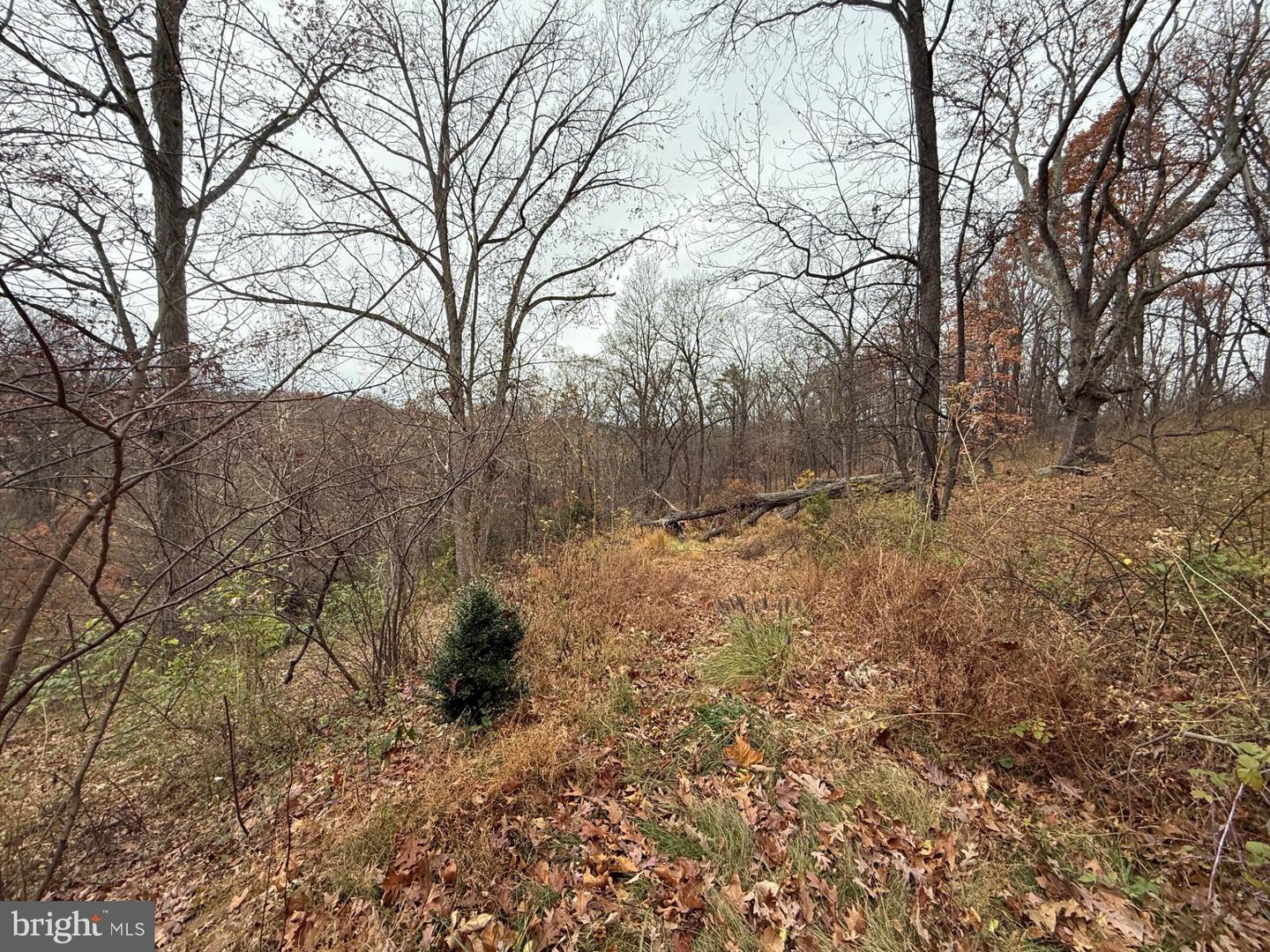 521 NORTHERN SPY DR, LINDEN, Virginia 22642, 4 Bedrooms Bedrooms, ,3 BathroomsBathrooms,Residential,For sale,521 NORTHERN SPY DR,VAWR2012808 MLS # VAWR2012808