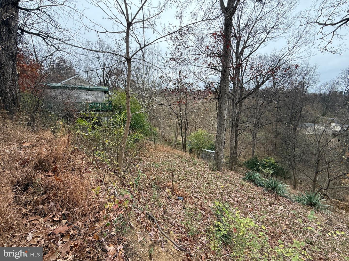 521 NORTHERN SPY DR, LINDEN, Virginia 22642, 4 Bedrooms Bedrooms, ,3 BathroomsBathrooms,Residential,For sale,521 NORTHERN SPY DR,VAWR2012808 MLS # VAWR2012808