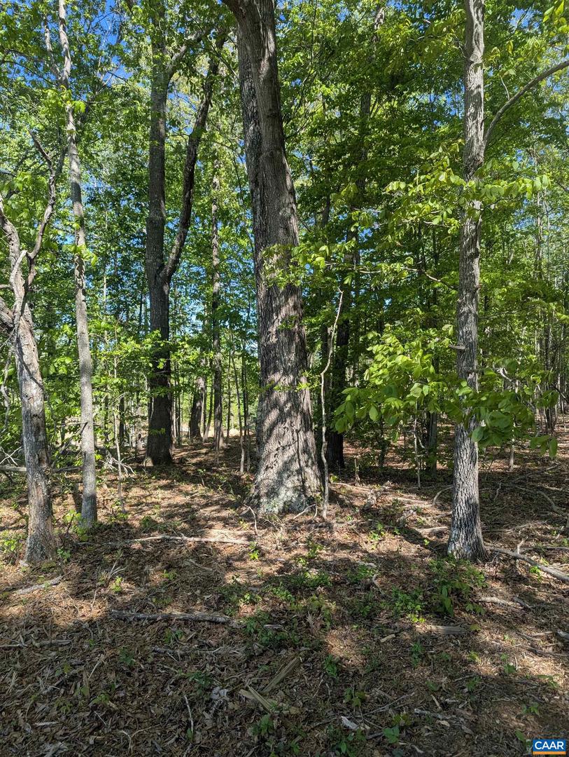 LOT 4 HORIZON DR, RUCKERSVILLE, Virginia 22968, ,Land,For sale,LOT 4 HORIZON DR,664394 MLS # 664394