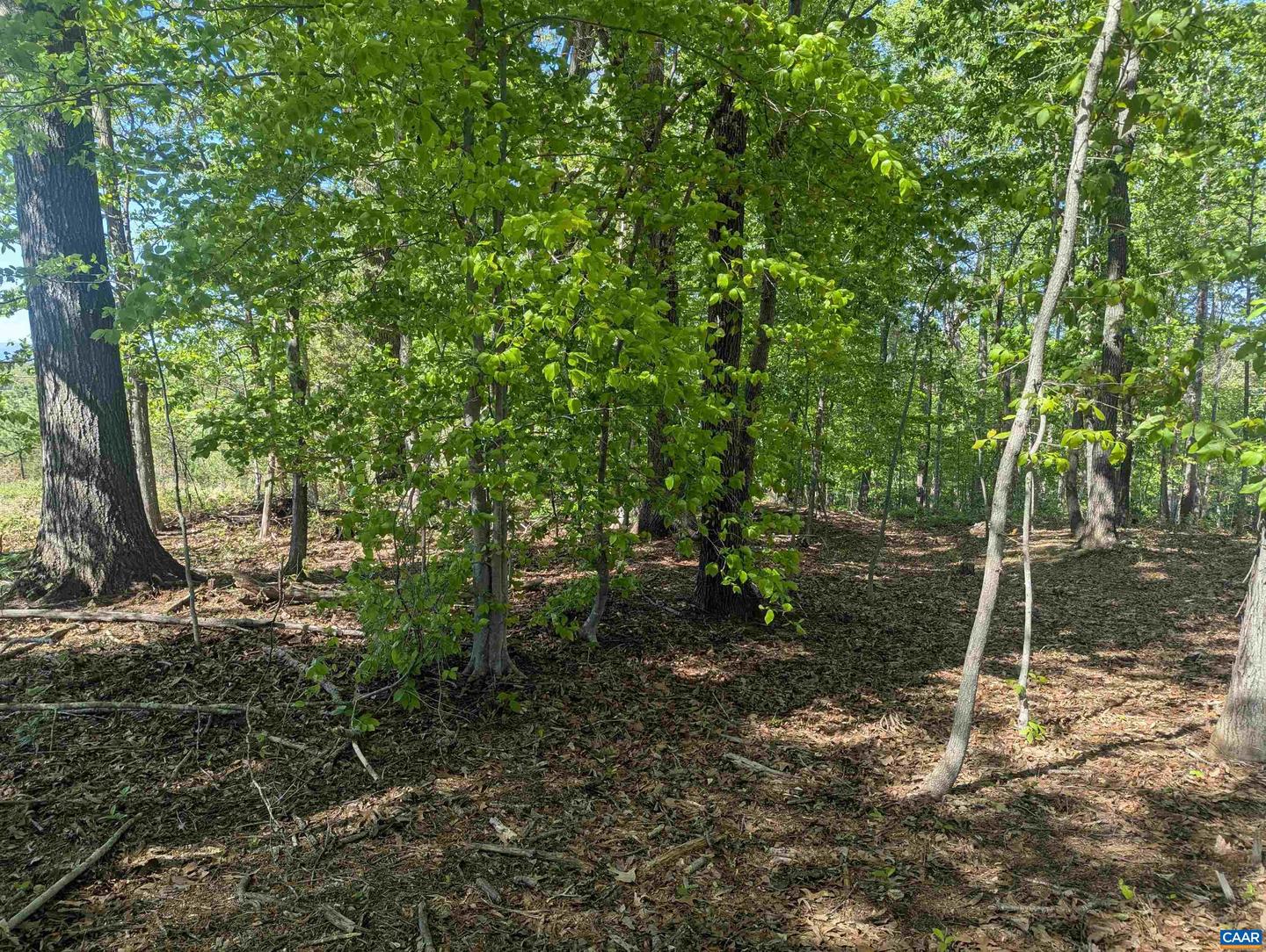 LOT 4 HORIZON DR, RUCKERSVILLE, Virginia 22968, ,Land,For sale,LOT 4 HORIZON DR,664394 MLS # 664394