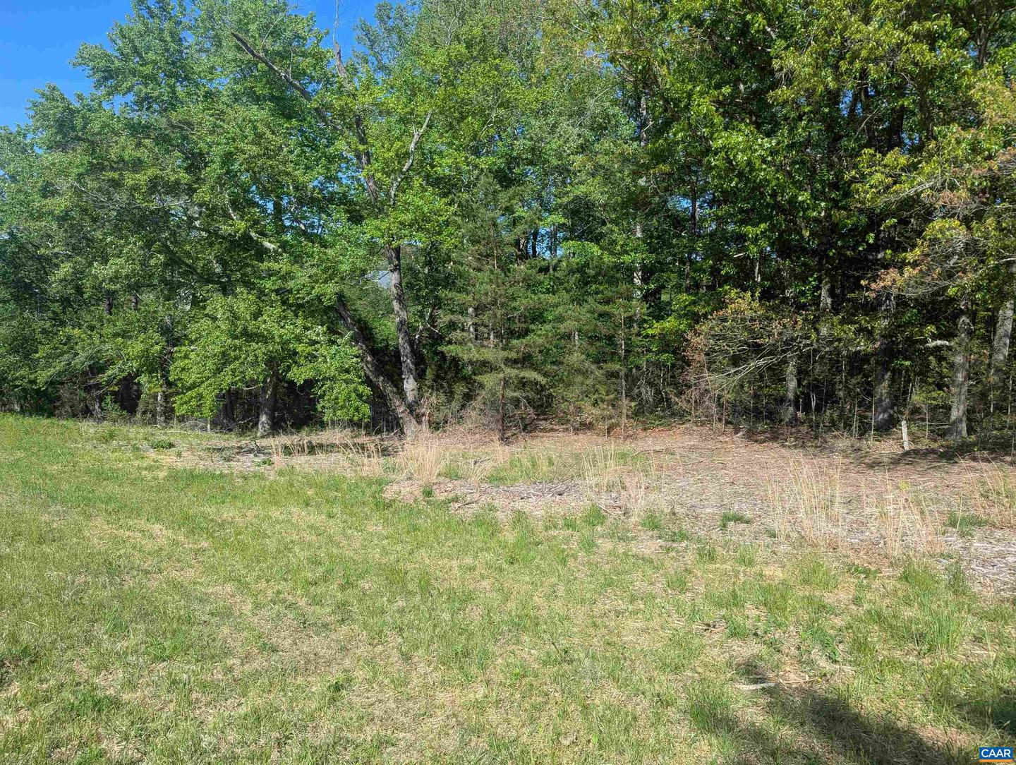 LOT 4 HORIZON DR, RUCKERSVILLE, Virginia 22968, ,Land,For sale,LOT 4 HORIZON DR,664394 MLS # 664394