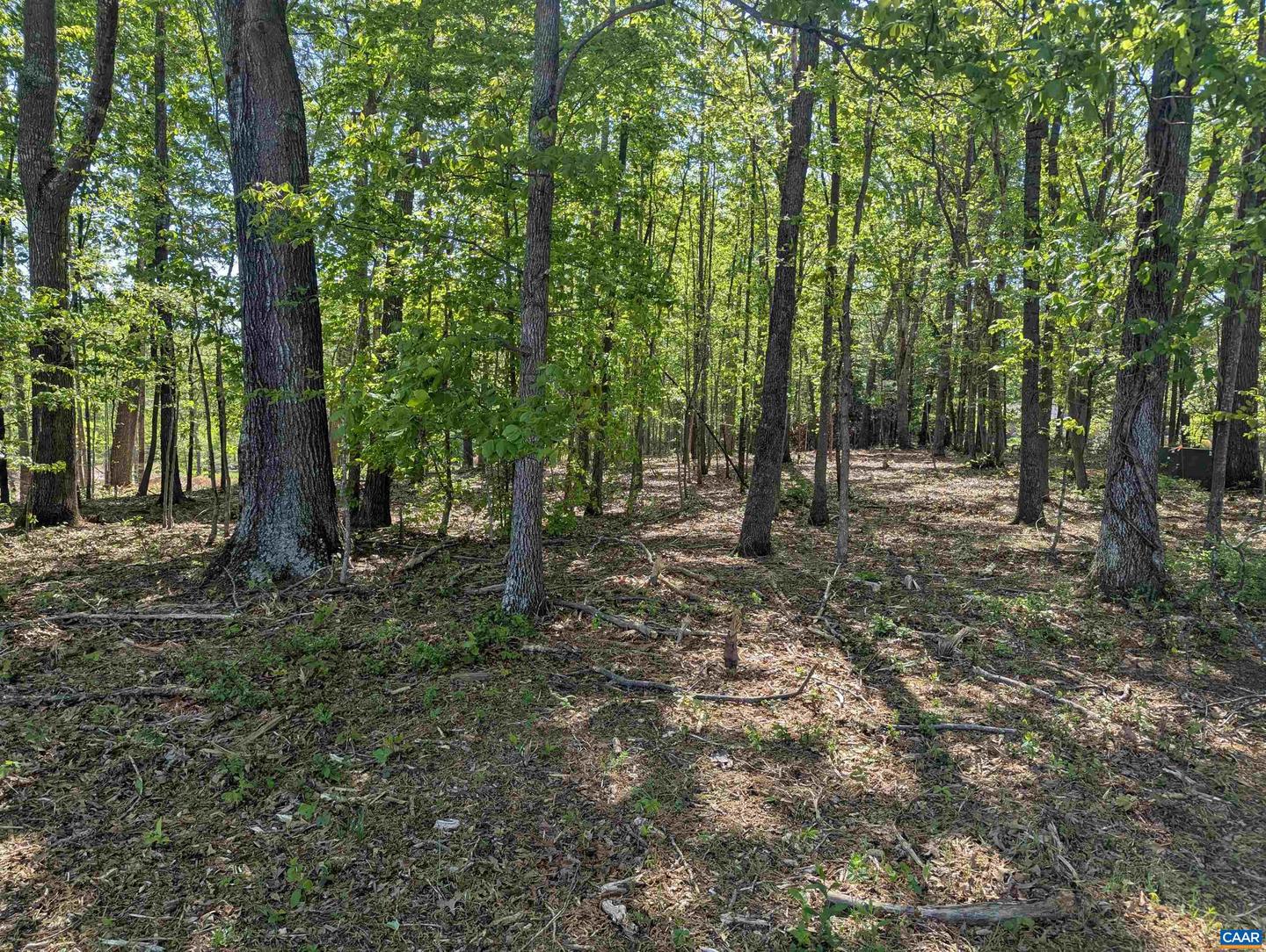 LOT 4 HORIZON DR, RUCKERSVILLE, Virginia 22968, ,Land,For sale,LOT 4 HORIZON DR,664394 MLS # 664394