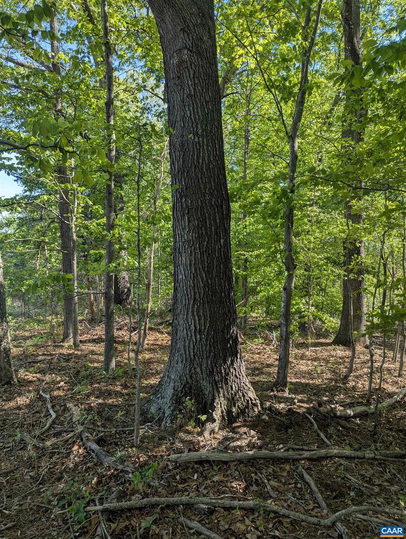 LOT 4 HORIZON DR, RUCKERSVILLE, Virginia 22968, ,Land,For sale,LOT 4 HORIZON DR,664394 MLS # 664394