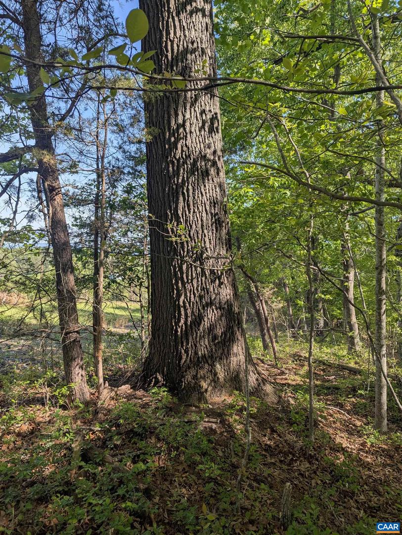 LOT 4 HORIZON DR, RUCKERSVILLE, Virginia 22968, ,Land,For sale,LOT 4 HORIZON DR,664394 MLS # 664394